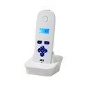 DECT-EH (1).jpg