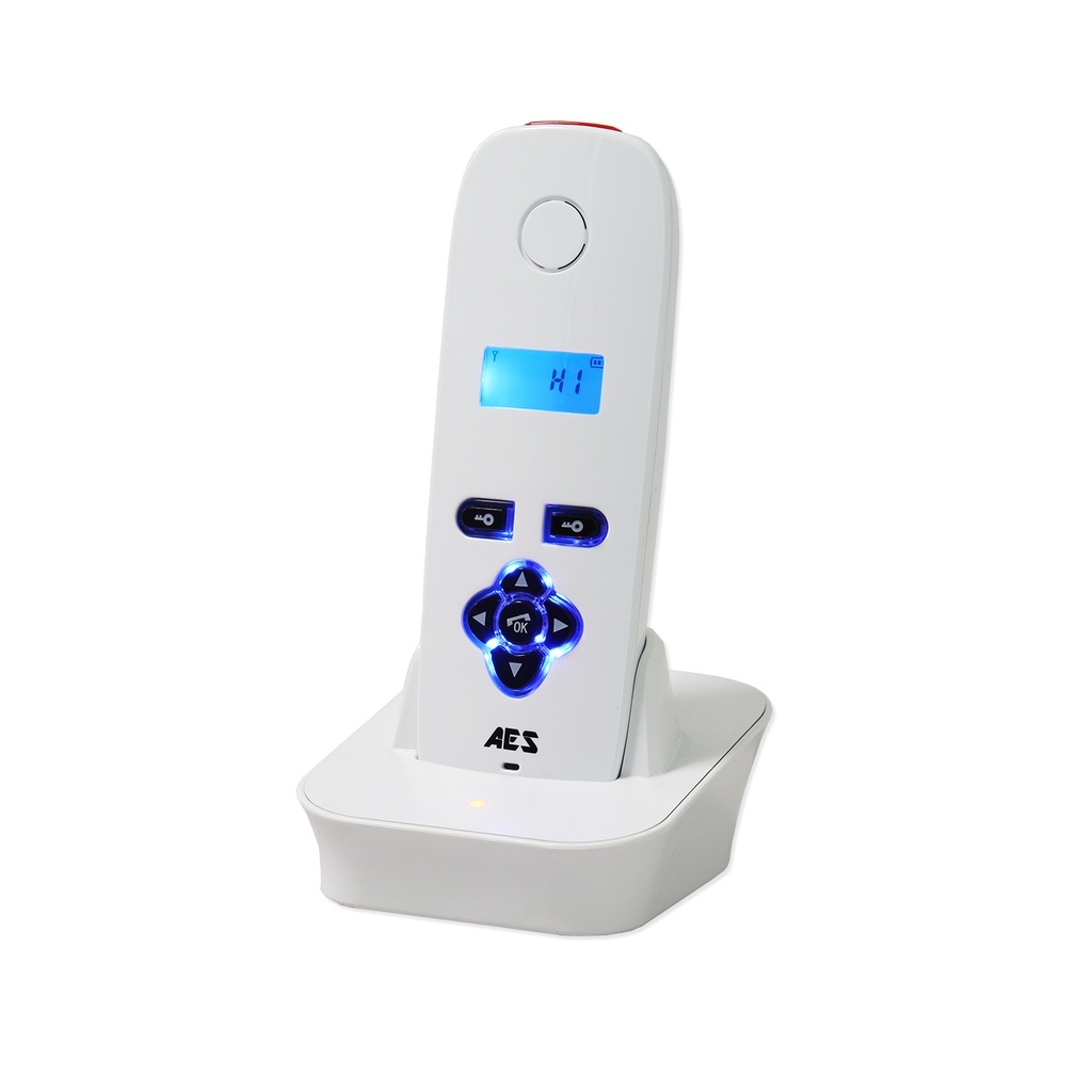 Combiné audio portable pour intercom DECT